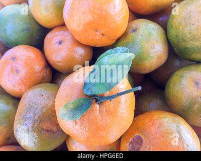 Népal la chaux ou mandarin orange sur l'écran. Banque D'Images