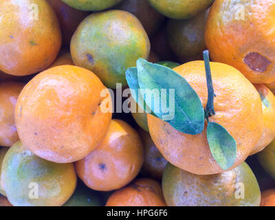 Népal la chaux ou mandarin orange sur l'écran. Banque D'Images