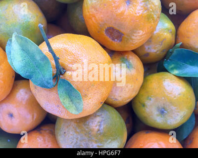 Népal la chaux ou mandarin orange sur l'écran. Banque D'Images