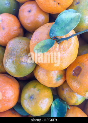 Népal la chaux ou mandarin orange sur l'écran. Banque D'Images