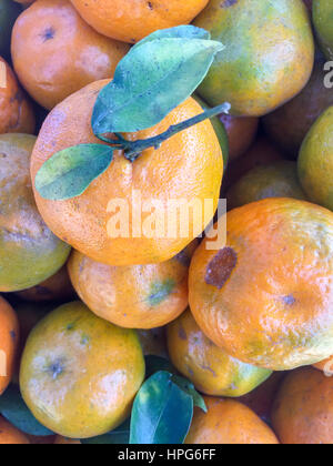 Népal la chaux ou mandarin orange sur l'écran. Banque D'Images