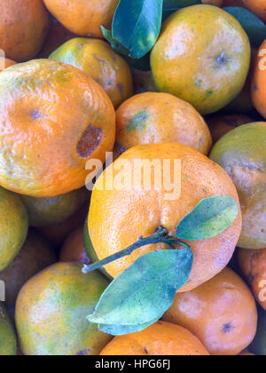 Népal la chaux ou mandarin orange sur l'écran. Banque D'Images