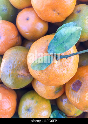 Népal la chaux ou mandarin orange sur l'écran. Banque D'Images