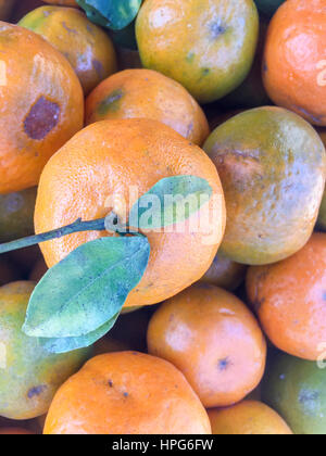 Népal la chaux ou mandarin orange sur l'écran. Banque D'Images
