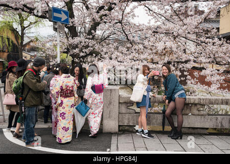 Les visiteurs, touristes de prendre des photos sous les cerisiers en fleurs dans le district de Gion, Kyoto, Japon Banque D'Images