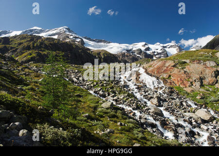 Ruisseau de montagne dans l'Maurertal dans le parc national Hohe Tauern en Autriche Banque D'Images