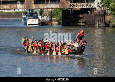 Racers Dragonboat à Ping Tom Memorial Park à Chicago. Banque D'Images