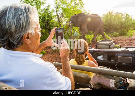 Les touristes regarder les éléphants dans le Parc National de Matusadona du Zimbabwe. Banque D'Images