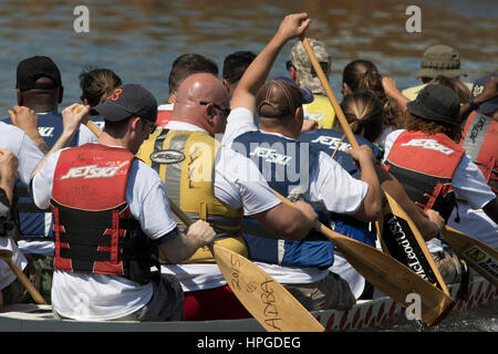 Les courses de Dragonboat sur la rivière Chicago en Ping Tom Memorial Park, Chicage Banque D'Images