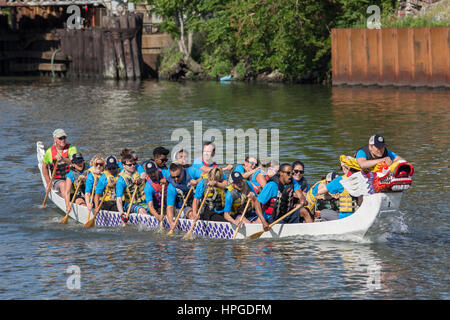 Racers Dragonboat à Ping Tom Memorial Park à Chicago. Banque D'Images