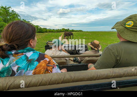 Les touristes regarder les éléphants dans le Parc National de Matusadona du Zimbabwe. Banque D'Images