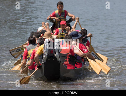 Racers Dragonboat à Ping Tom Memorial Park à Chicago. Banque D'Images