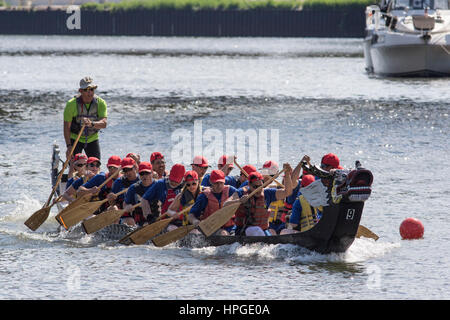 Racers Dragonboat à Ping Tom Memorial Park à Chicago. Banque D'Images