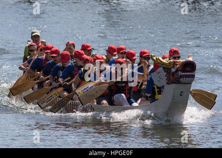 Racers Dragonboat à Ping Tom Memorial Park à Chicago. Banque D'Images