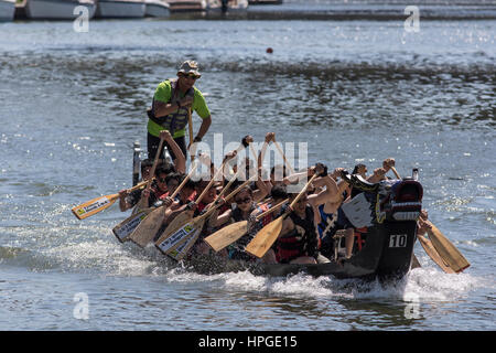 Racers Dragonboat à Ping Tom Memorial Park à Chicago. Banque D'Images