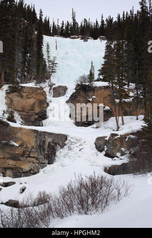 Chutes d'eau en hiver dans le parc national Jasper (Tangle Creek) Banque D'Images