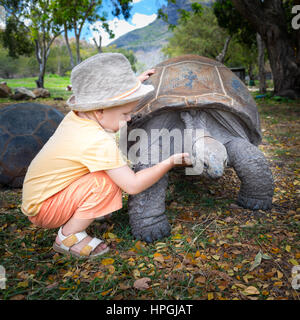 Tortue géante d'Aldabra touchant l'enfant. L'Ile Maurice Banque D'Images