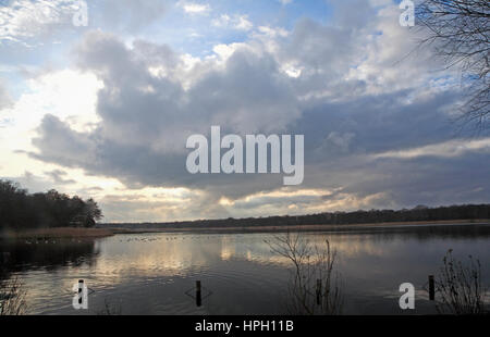 Une vue sur Rollesby large avec ciel dégagé sur les Norfolk Broads à Rollesby, Norfolk, Angleterre, Royaume-Uni. Banque D'Images