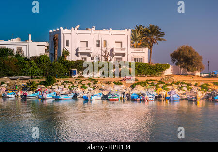 White Villa à Carthage, Tunisie. Paysage avec palmiers, la mer, les bateaux, et de l'architecture arabe. Banque D'Images