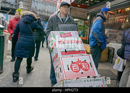 Un travailleur américain asiatique moving boxes sur Main Street dans le quartier chinois, le rinçage, Queens, New York. Banque D'Images