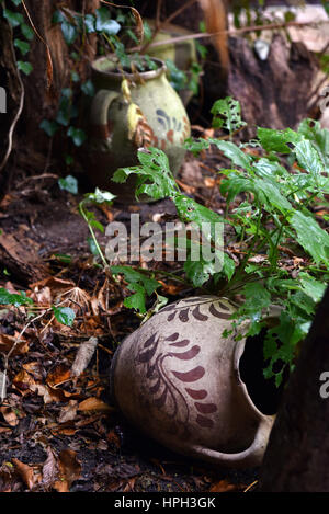 Céramique poterie cruche vintage abandonnés en plein air Banque D'Images