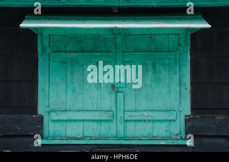 S shuuters mildewy Grungy vert avec de la neige sur un chalet. Verrouillé sur un chalet noir en hiver Banque D'Images