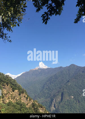 Et la montagne Fishtail Machhapuchhare Annapurna Himalaya Népal vue d'ensemble pendant le trekking à Ghandruk village de Kaski, le Népal. Banque D'Images