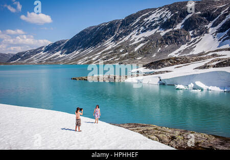 Paysag, route panoramique dans Gamle Strynefjellsvegen, Norvège Banque D'Images