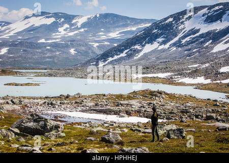 Paysag, route panoramique dans Gamle Strynefjellsvegen, Norvège Banque D'Images