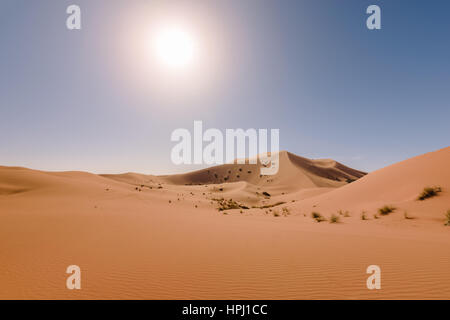 Vue panoramique sur les dunes de l'Erg Chebbi près de Merzouga, dans le désert du Maroc. Banque D'Images