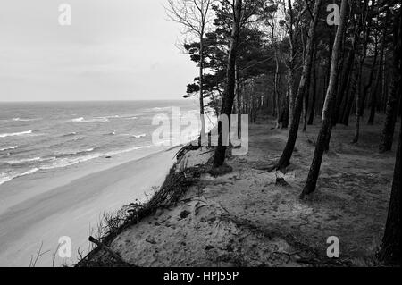 Cap hollandais, Ostsee, Lituanie. Banque D'Images