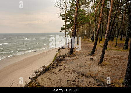 Cap hollandais, Ostsee, Lituanie. Banque D'Images