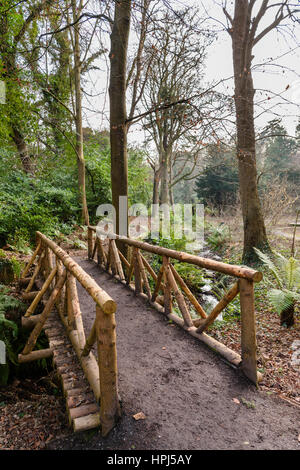 Pont de bois sur un petit ruisseau dans une forêt. Banque D'Images