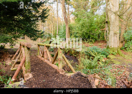 Pont de bois sur un petit ruisseau dans une forêt. Banque D'Images