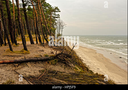 Cap hollandais, Ostsee, Lituanie. Banque D'Images