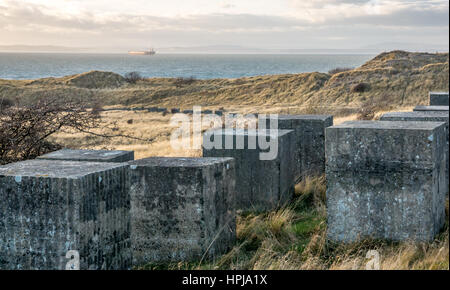 Des rangées de blocs de béton réservoir anti cube, LA DEUXIÈME GUERRE MONDIALE, la défense côtière, Aberlady, East Lothian, Scotland, UK avec vue sur l'estuaire du Firth of Forth Banque D'Images