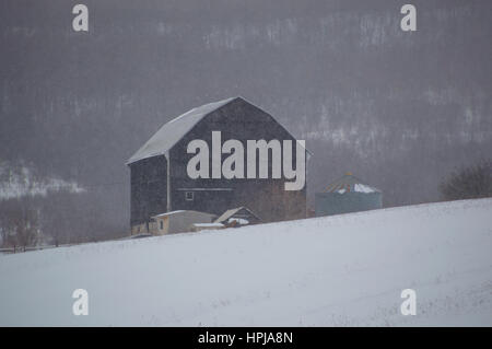 Les flocons de neige qui descend en face d'un toit en mansarde noire ancienne grange de l'Ontario situé sur une pente enneigée avec un fond de montagne couverte d'arbres. Banque D'Images