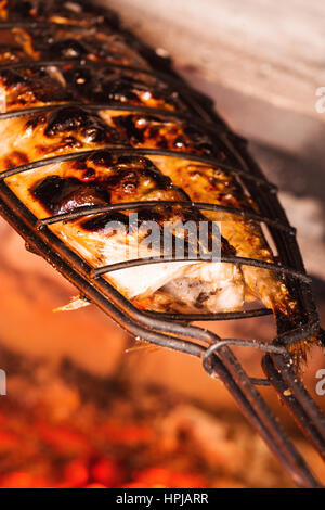 Le maquereau poissons grillés sur charbon de bois. Profondeur de champ Banque D'Images