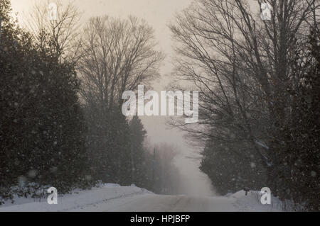 Les flocons de neige qui descend en face d'une voie et d'arbres forestiers dans une tempête de neige. Banque D'Images