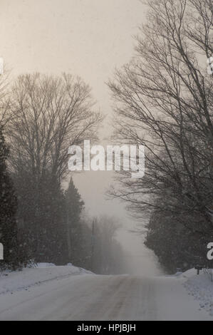 Les flocons de neige qui descend en face d'une voie et d'arbres forestiers dans une tempête de neige. Banque D'Images