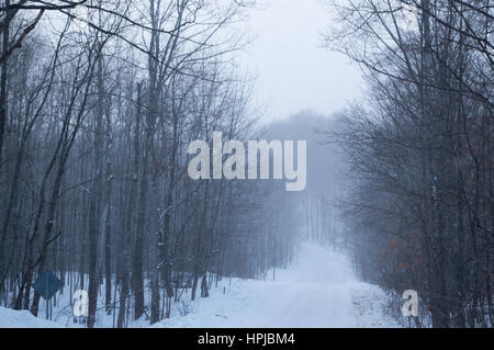 Les flocons de neige qui descend en face d'une voie et d'arbres forestiers dans une tempête Banque D'Images