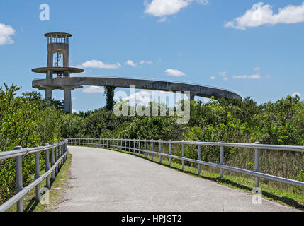 Tour d'observation au Shark Valley dans le Florida Evergaldes Banque D'Images