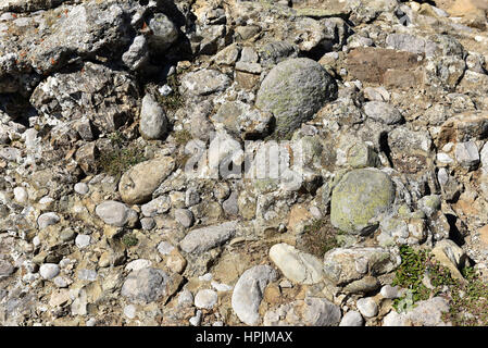 La texture des roches conglomérées avec du gravier, cailloux et galets Banque D'Images