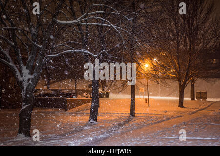 Les arbres et les branches de la neige d'hiver sombre nuit background Banque D'Images