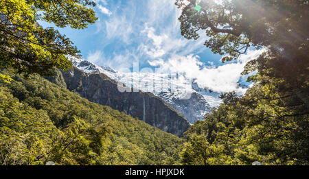 Cascade, Rob Roy Glacier, Mount Aspiring National Park, Otago, Nouvelle-Zélande, Southland Banque D'Images