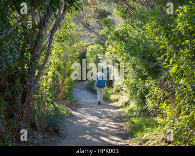 Parc national Abel Tasman, Tasman, Nouvelle-Zélande. Approche de randonneur l'extrémité sud de l'Abel Tasman Coast Track près de Marahau. Banque D'Images