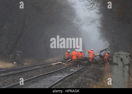 Sudbury, Derbyshire, Royaume-Uni. Feb 23, 2017. Météo britannique. Un grand arbre provoquant un blocage sur le chemin de fer, à Sudbury, Derbyshire, près d'Uttoxeter, en raison de tempête et des vents forts. Doris Le personnel ferroviaire réseau tente de supprimer l'arbre et de réparer la voie. Perturbations causées entre Crewe, Stoke-on-Trent et de Derby. 23 février 2017. Crédit : Richard Holmes/Alamy Live News Banque D'Images