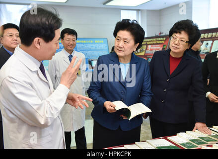 Beijing, Chine. Feb 22, 2017. Le vice-Premier ministre chinois Liu Yandong (C) fait une inspection au Peking Union Medical College Hospital à Beijing, capitale de la Chine, le 22 février 2017. Credit : Gao Jie/Xinhua/Alamy Live News Banque D'Images