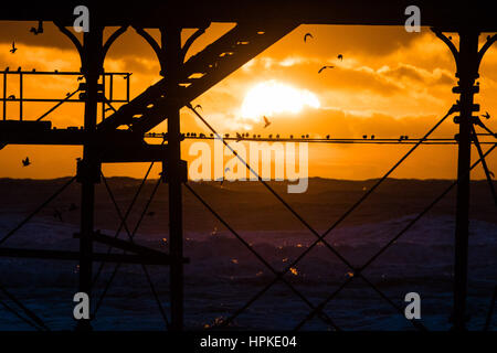 Aberystwyth, Pays de Galles, Royaume-Uni. 23 févr. 2017. Météo France : un spectaculaire coucher de soleil derrière la jetée à Aberystwyth après les assauts de lomg Storm Storm Doris Doris a été le quatrième ouragan de l'hiver, et a été classé comme un 'bombe météorologique cyclogénèse explosive (des) par le Met Office Crédit photo : Keith Morris/Alamy Live News Banque D'Images