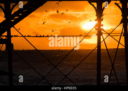 Aberystwyth, Pays de Galles, Royaume-Uni. 23 févr. 2017. Météo France : un spectaculaire coucher de soleil derrière la jetée à Aberystwyth après les assauts de lomg Storm Storm Doris Doris a été le quatrième ouragan de l'hiver, et a été classé comme un 'bombe météorologique cyclogénèse explosive (des) par le Met Office Crédit photo : Keith Morris/Alamy Live News Banque D'Images